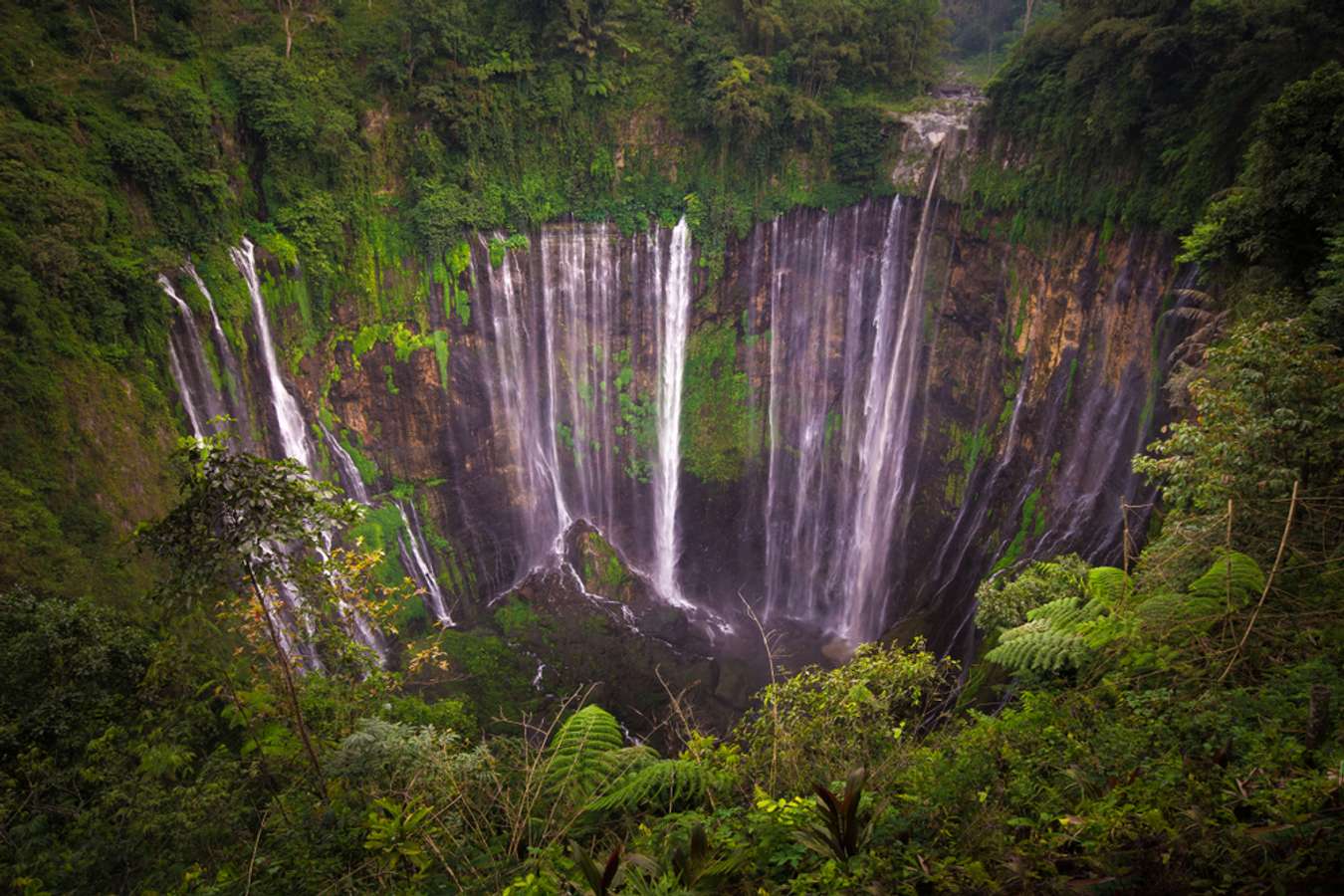 Open Trip Tumpak Sewu